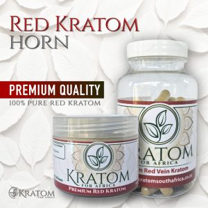 Therapeutic Red Horn Kratom offers improved mood, increased energy, pain relief, and euphoria at high doses