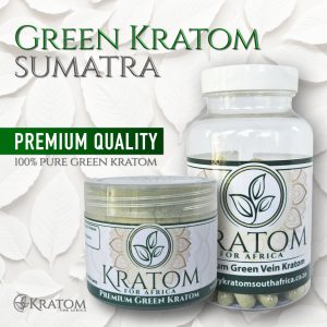 Green Sumatra Kratomis great for stimulation and increased focus