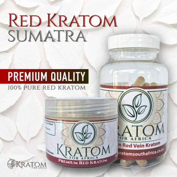 Red Sumatra Kratom is a powerful strain for chronic pain relief |