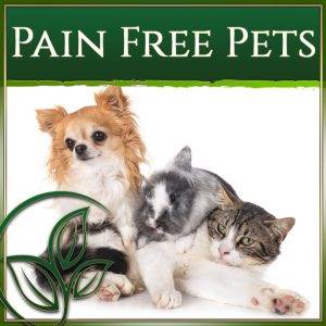 Kratom Pain Free Pets Range