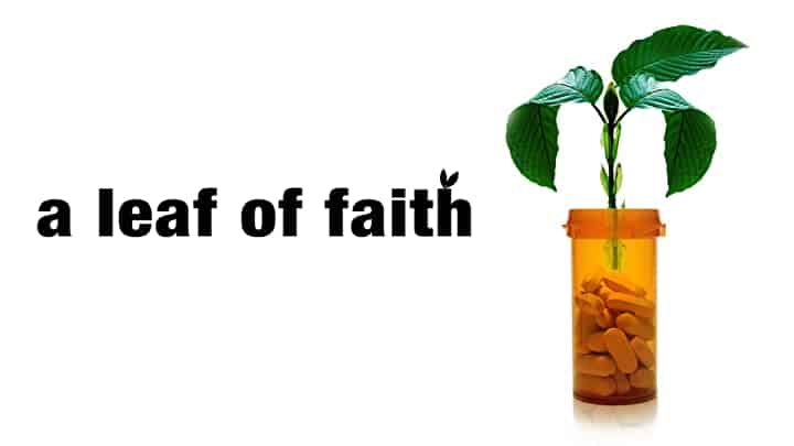 Kratom - A Leaf of Faith