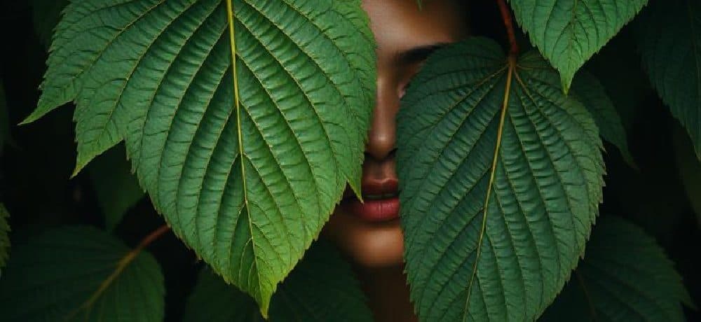 Unwind Naturally: Kratom as a Plant-Based Remedy