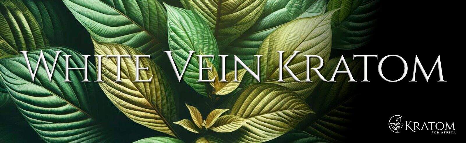 White vein Kratom - Kratom Useful Info
