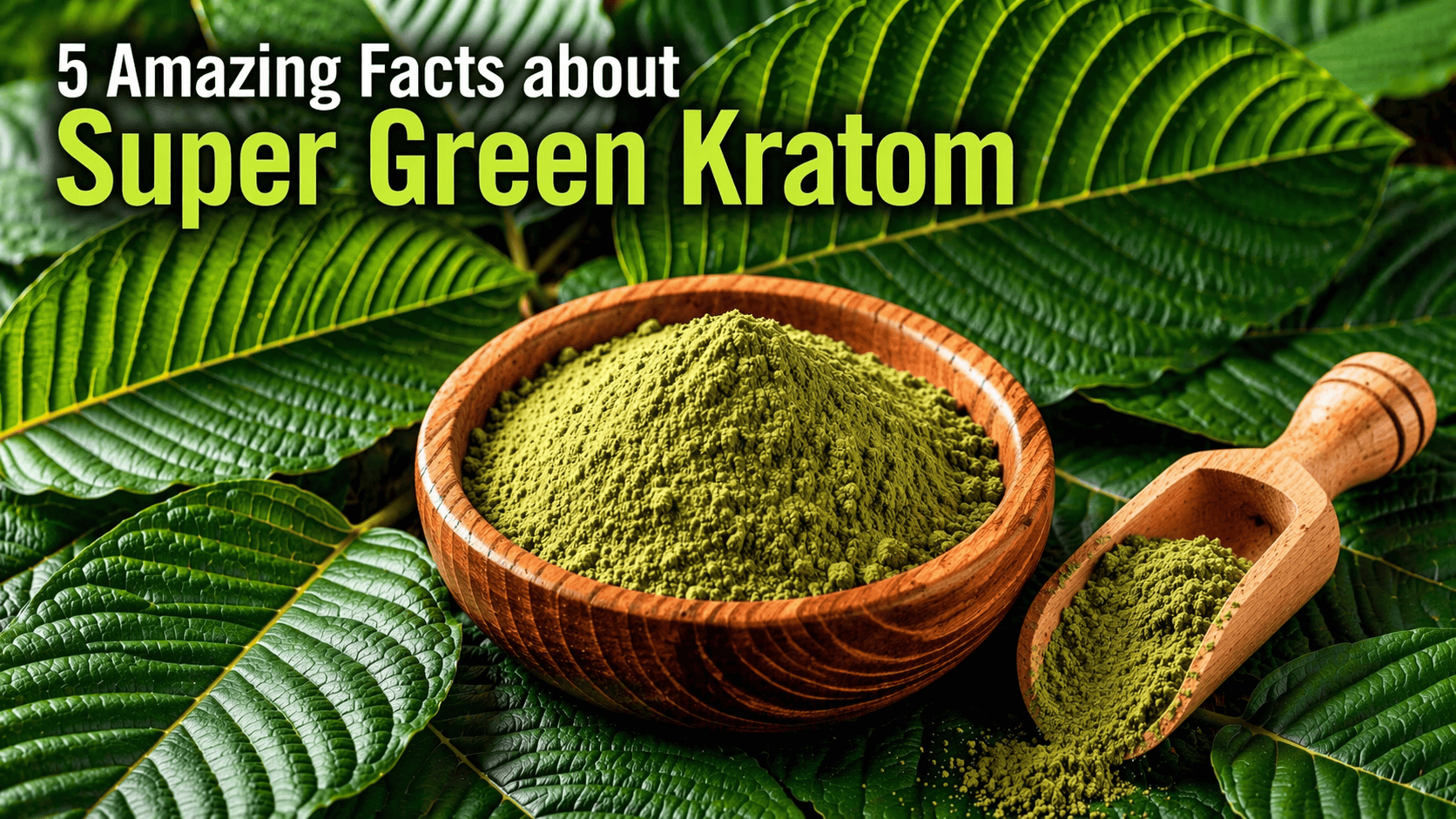 5 Amazing Facts about Super Green Kratom