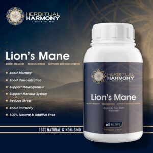 Lion’s Mane Brain Support
