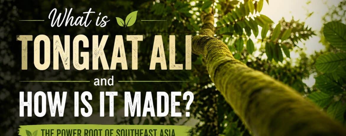 What is Tongkat Ali and How is it Made?